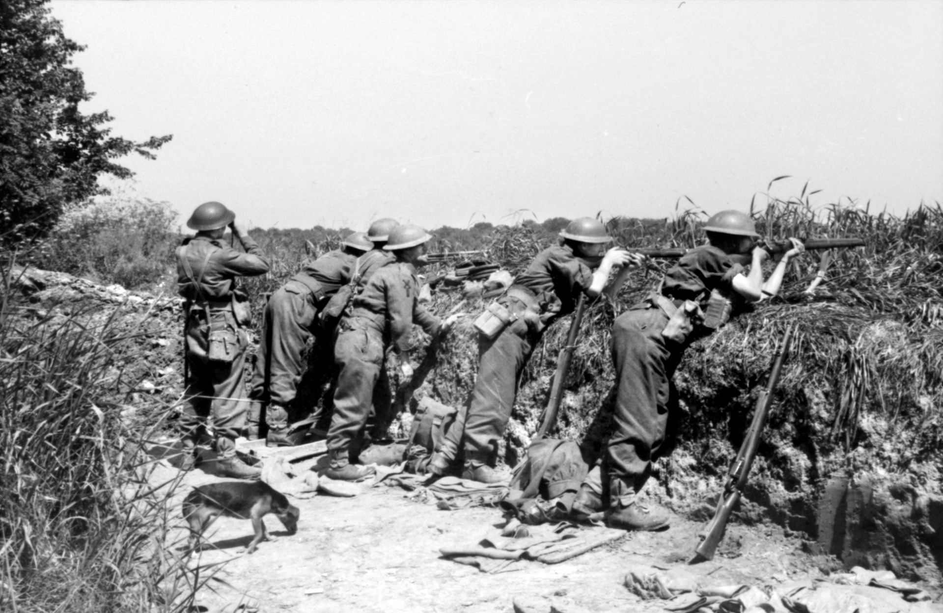 第51高地师的阿盖尔和萨瑟兰高地人在阿比维尔战役中表现出色，被迫沿海岸南下，在布雷斯勒河坚守阵地。