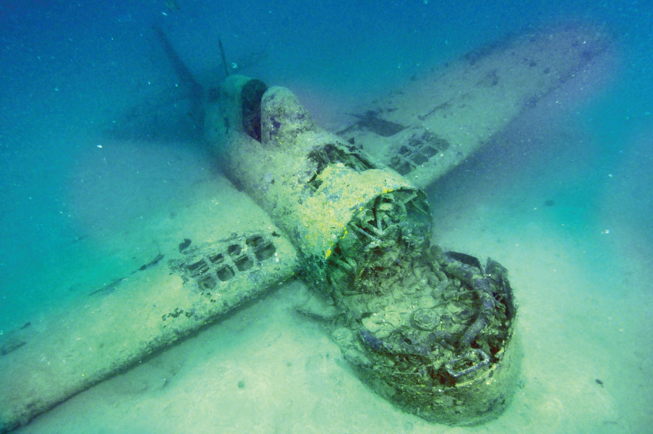 被淹没的“Gavutu Wildcat”，一架格鲁曼F4F战斗机，可能是美国海军陆战队王牌詹姆斯·e·斯威特中尉在第二次世界大战期间所罗门群岛空战期间驾驶的。必威体育娱乐平台